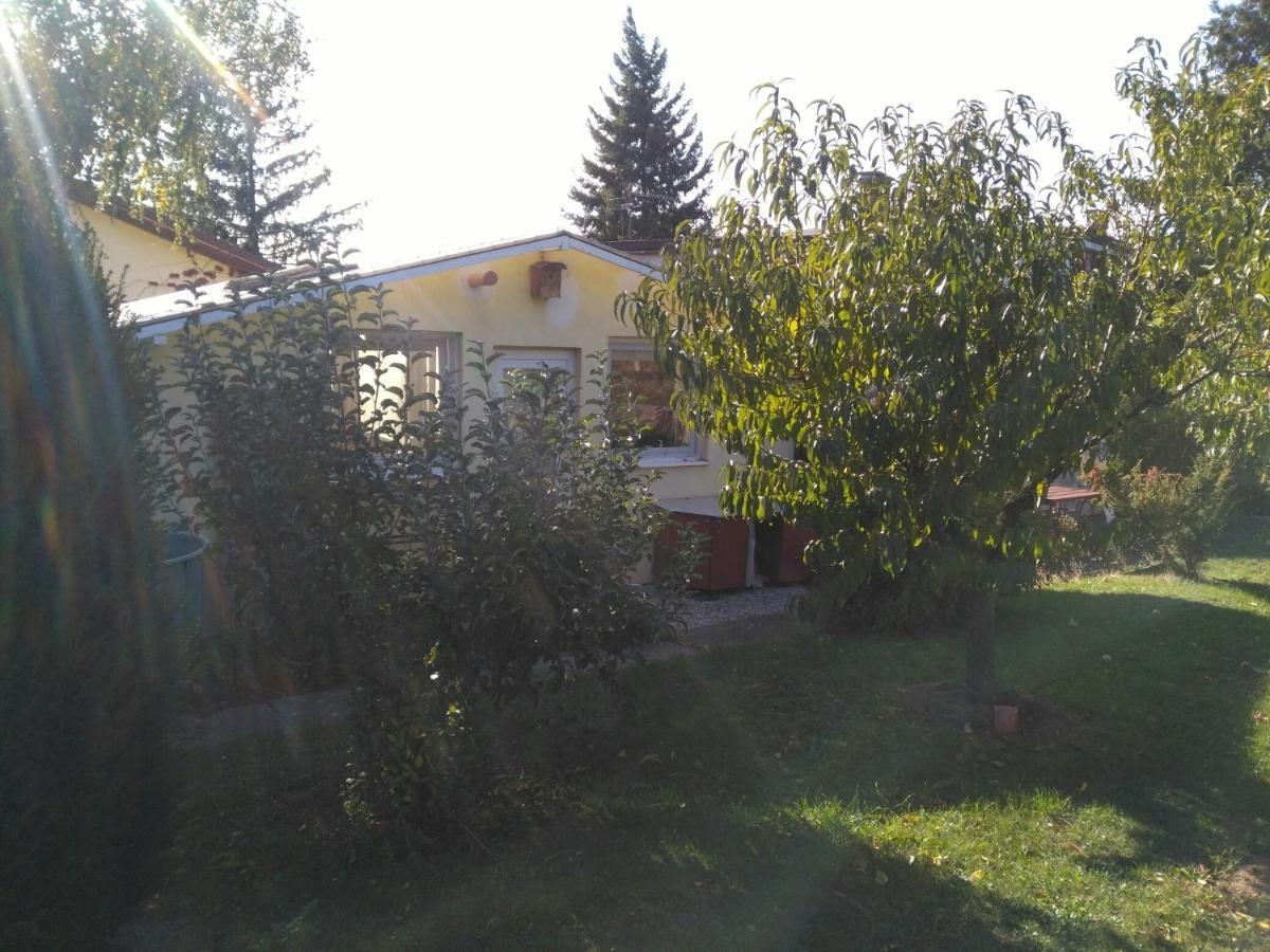 Greenhouse Just 15 Min From The Old Town Tente de luxe